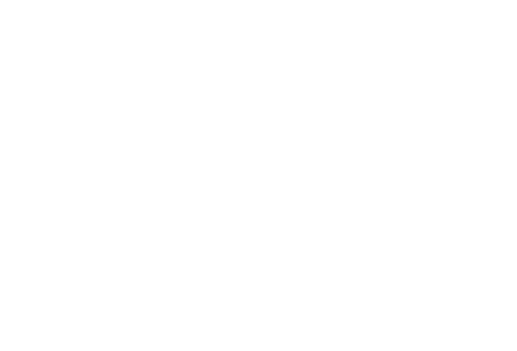 TPS — The Permanent Solutions